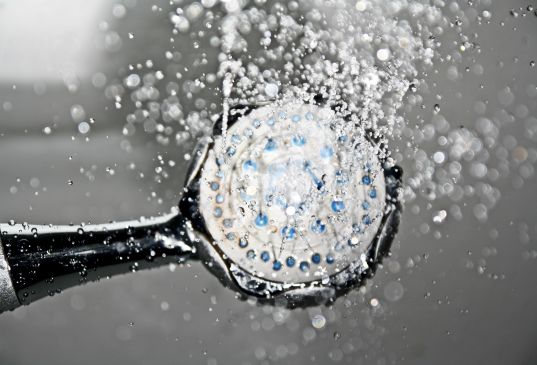fungus grows wet places