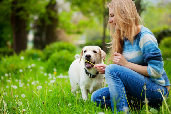 Are Dogs Prone to Developing Fungus in Their Nails?