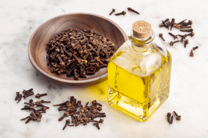 clove oil for toenail fungus