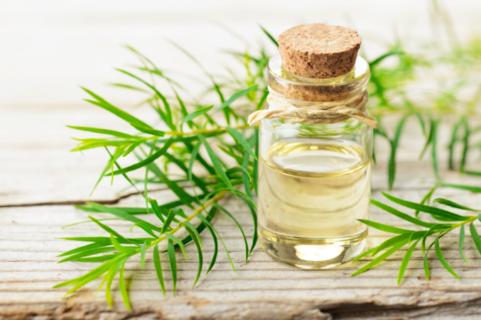 how to make tea tree oil body wash