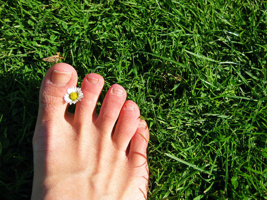 how to treat an infected ingrown toenail