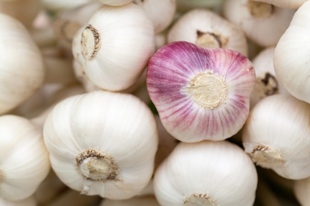 garlic nail fungus home remedies
