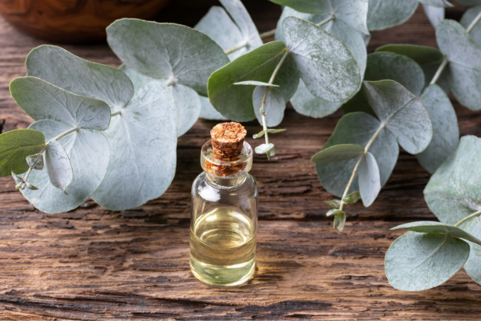 aromatherapy for colds