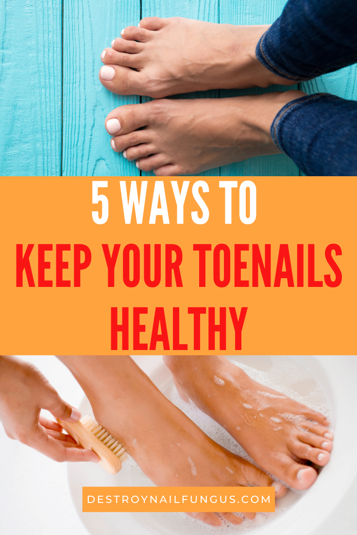 what is the purpose of toenails