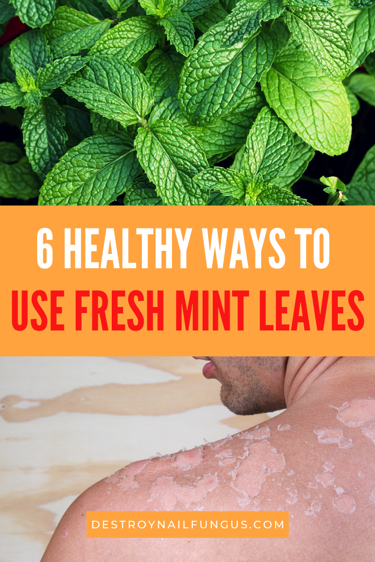 medicinal uses for mint